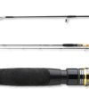 Angeln Daiwa Team Daiwa Trout Special Spin2,45m 5-18g