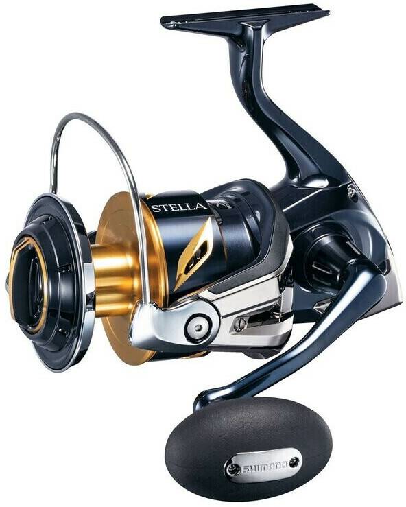 Shimano Stella SW 6000 Angeln